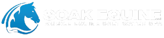 Soak equine logo